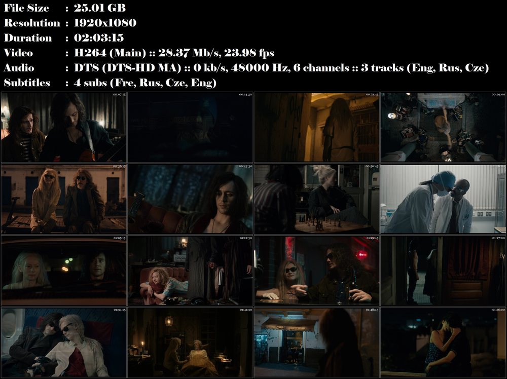 Přežijí jen milenci / Only Lovers Left Alive (2013)