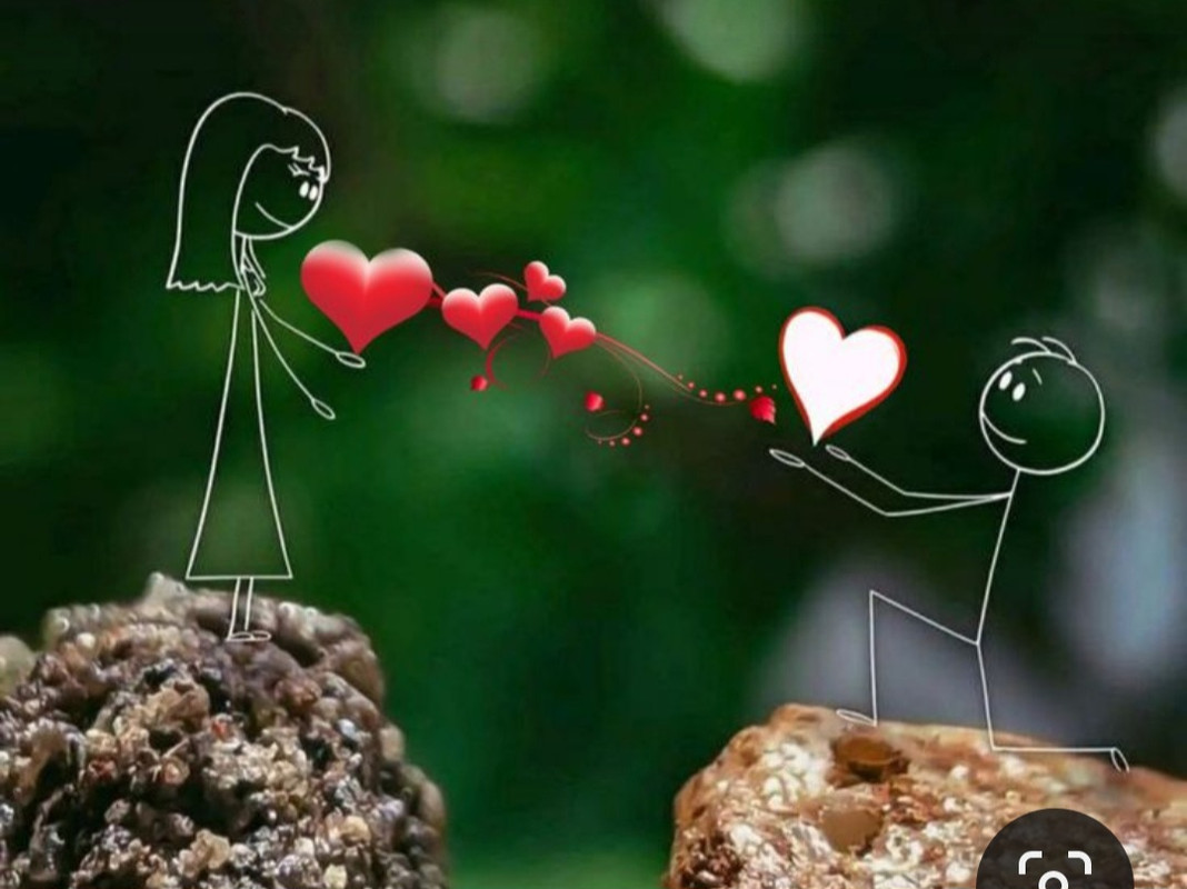 Screenshot_20240214_172204_Pinterest