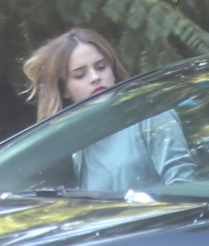 watsonuncensored.blogspot.com (7)