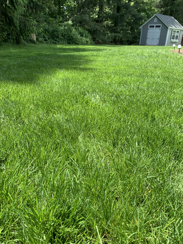 5BDB6A68-315D-4215-B4D7-AE979E59BC62