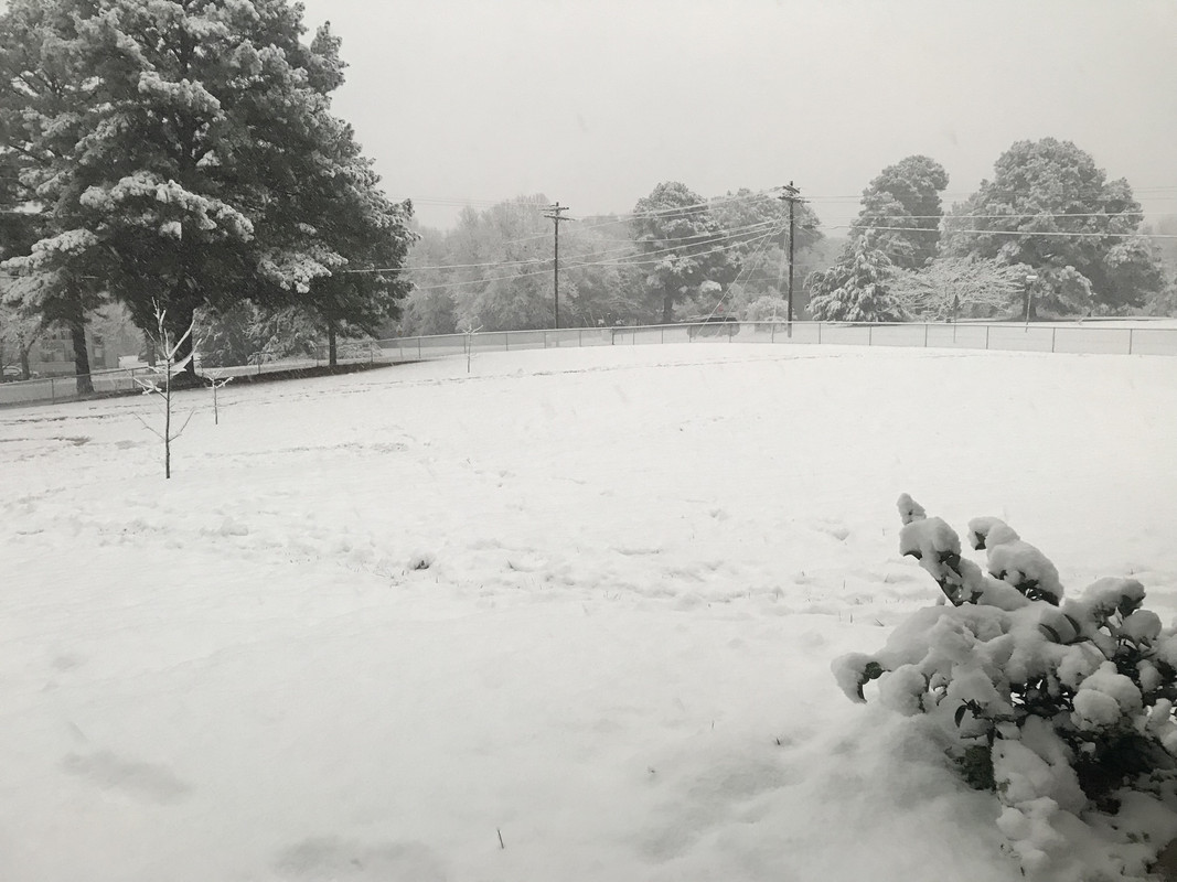 780EDADF-28B5-4D5D-981B-7C2D140CA8C5