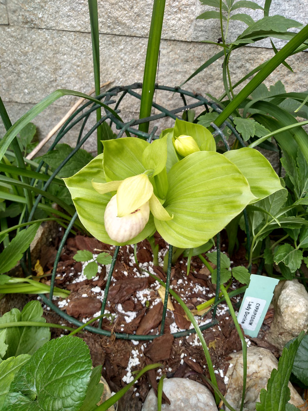 IMG_20190501_122455171_HDR