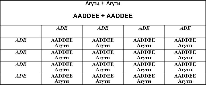 Таблица 5