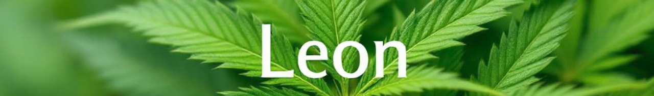 Знімок екрана з 2025-08-04 08-21-19