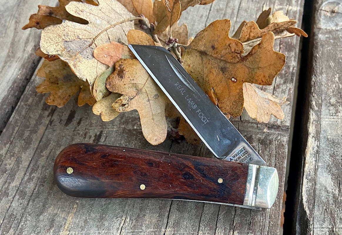 9A9CAF8D-CB27-4FFD-8EAC-6F58A044CE87