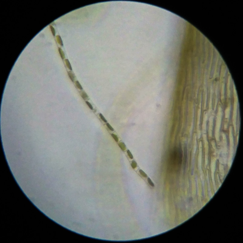 IMG 20250617 105927 HDR