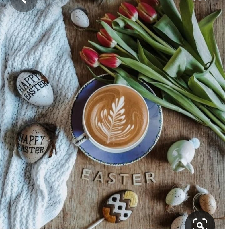 Screenshot_20230417_172335_Pinterest