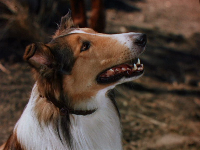 vlcsnap-2018-07-18-19h32m17s368