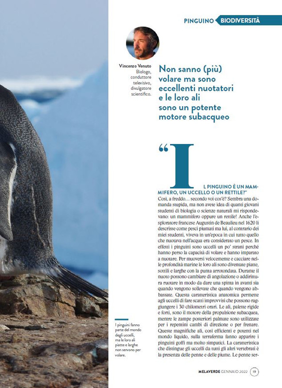 melaverde Gen 2022 (2)