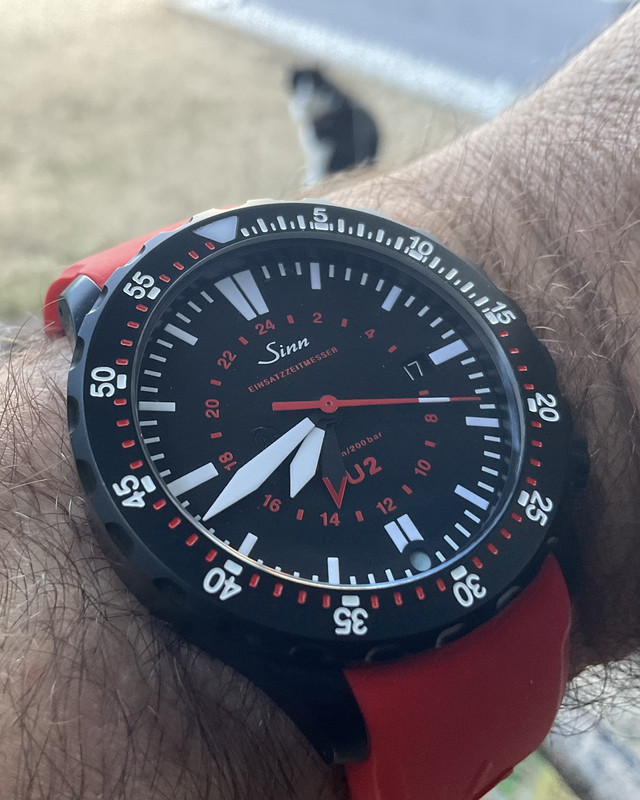 849737C5-FF73-4C5A-912F-E72D99BD1C21