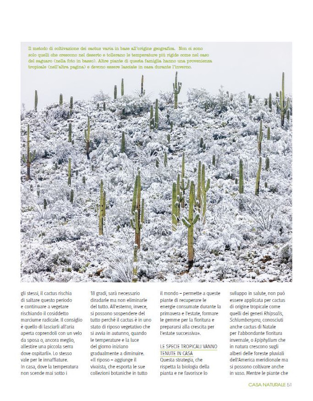 ca NAT Nov-Dic 2024 (4)