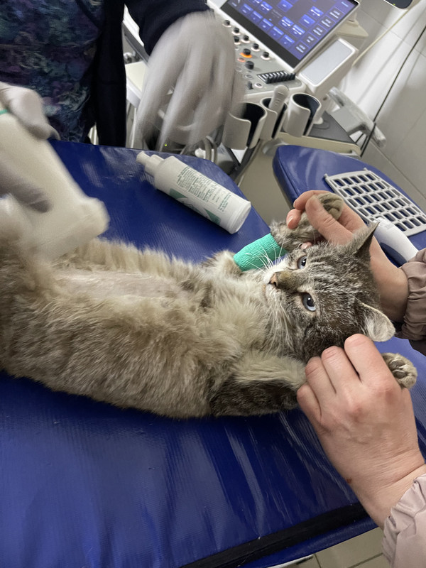 356C1EC0-3D7B-44BE-B307-A49BA321C8E3