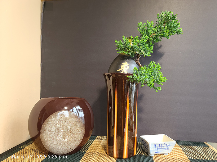 [Image: 20260313-152922.jpg]