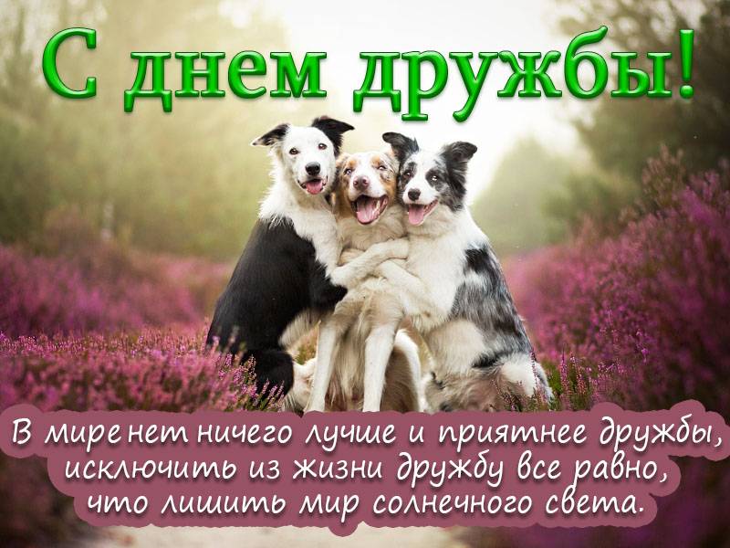 Поздравление С Международным Днем Друзей Поздравление С Международным Днем Друзей