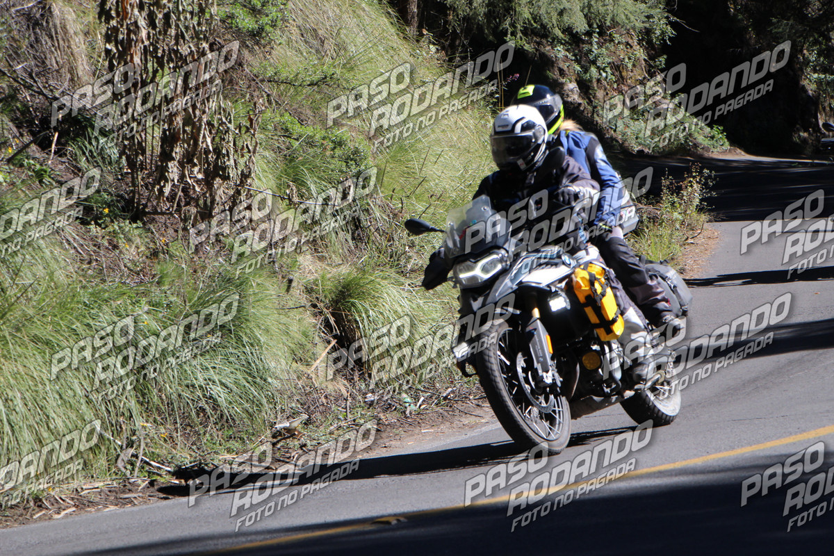 IMG 4462 wm 2010554 6 watermarked — Postimages