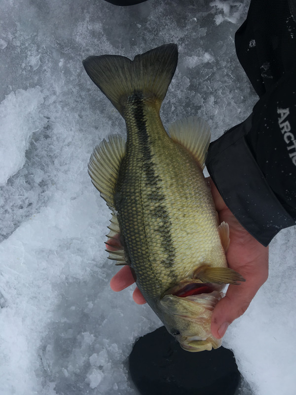 94003D46-F0C7-4979-BC13-3410E7D33DD4