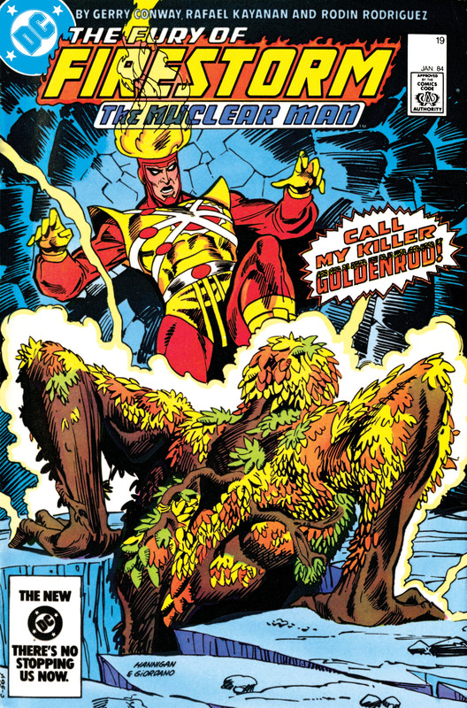 The-Fury-of-Firestorm-019-000