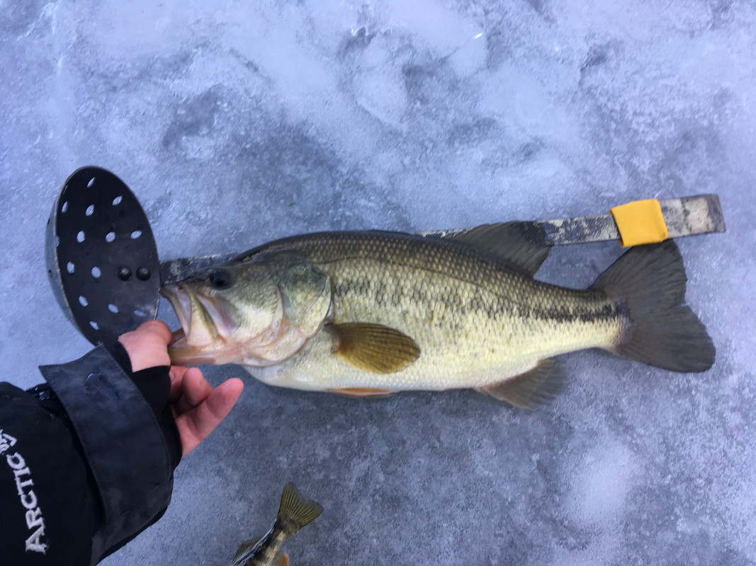 B14832B2-B275-44A0-A1D9-69F929A06E15