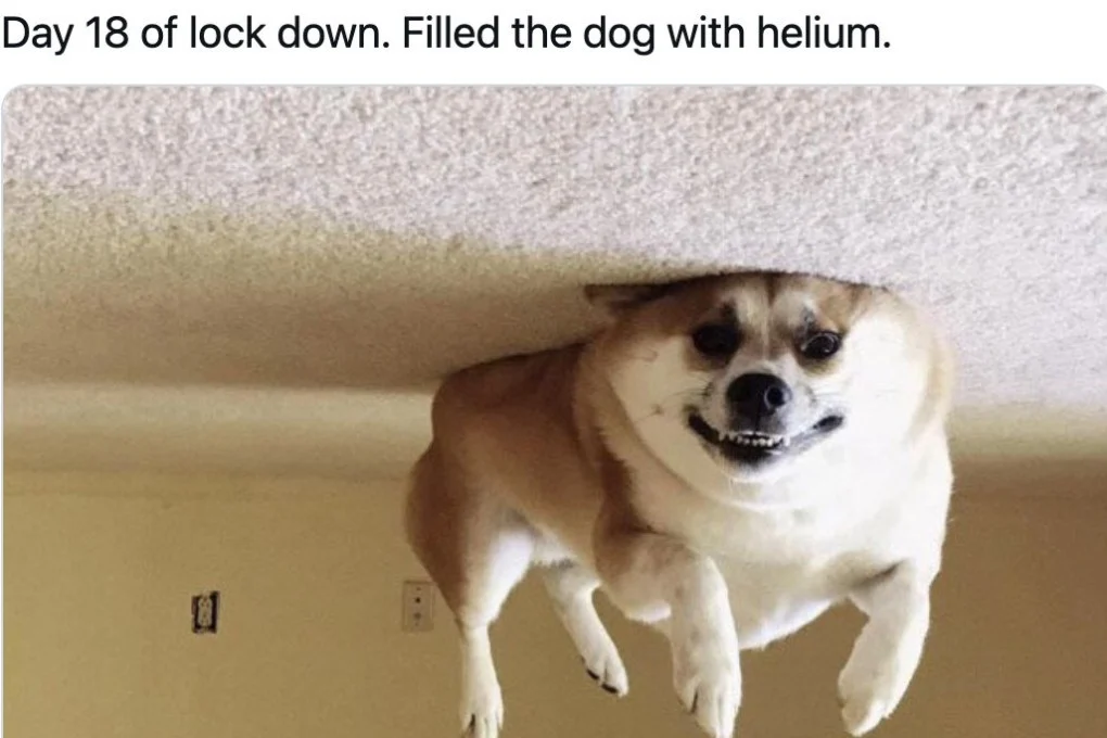 https://i.postimg.cc/Hnknmh6M/image.png