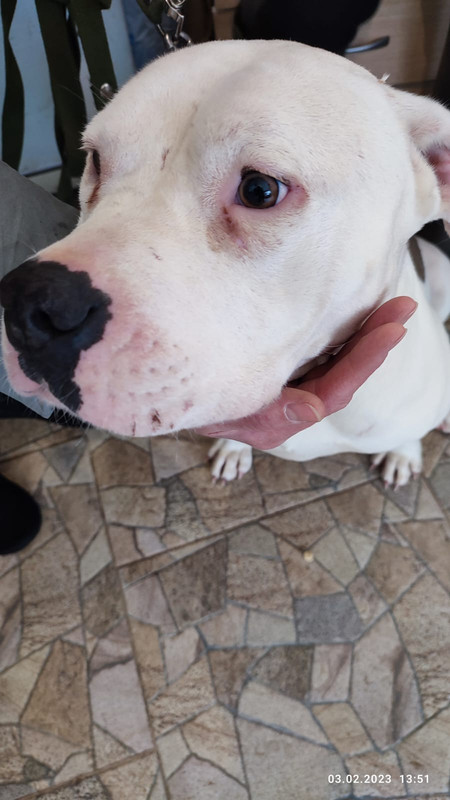 WhatsApp Image 2023-02-03 at 13.52.18 (2)