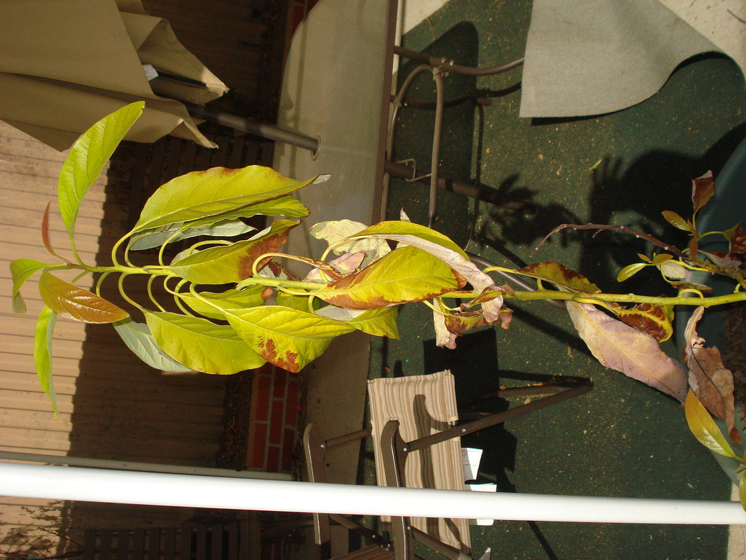 DSC01679