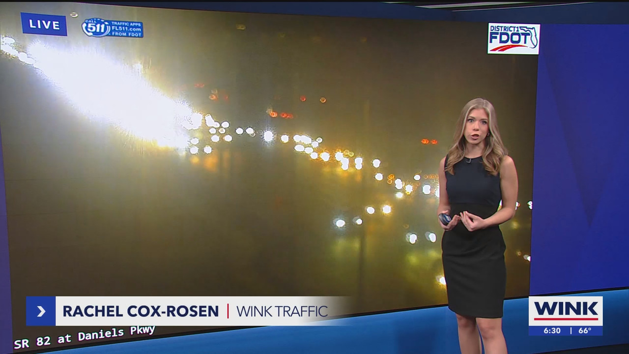 WINK News at 630am_20250212_11301200.ts_snapshot_00.48.239