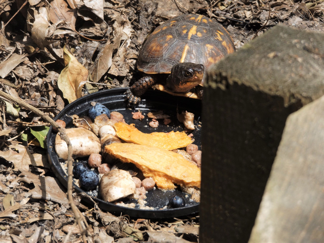 DSCF7302-2.jpg