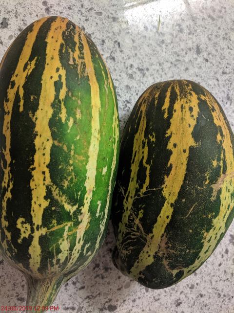 [Image: IMG-20190624-125947.jpg]