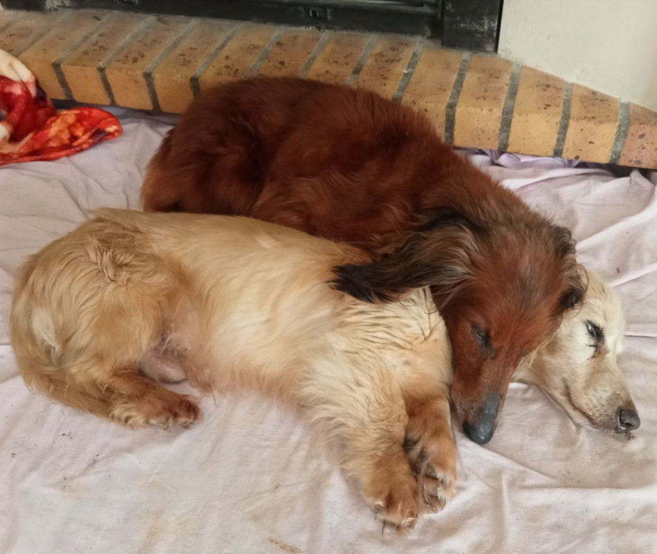 [Image: IMG-20240903-135900.jpg]