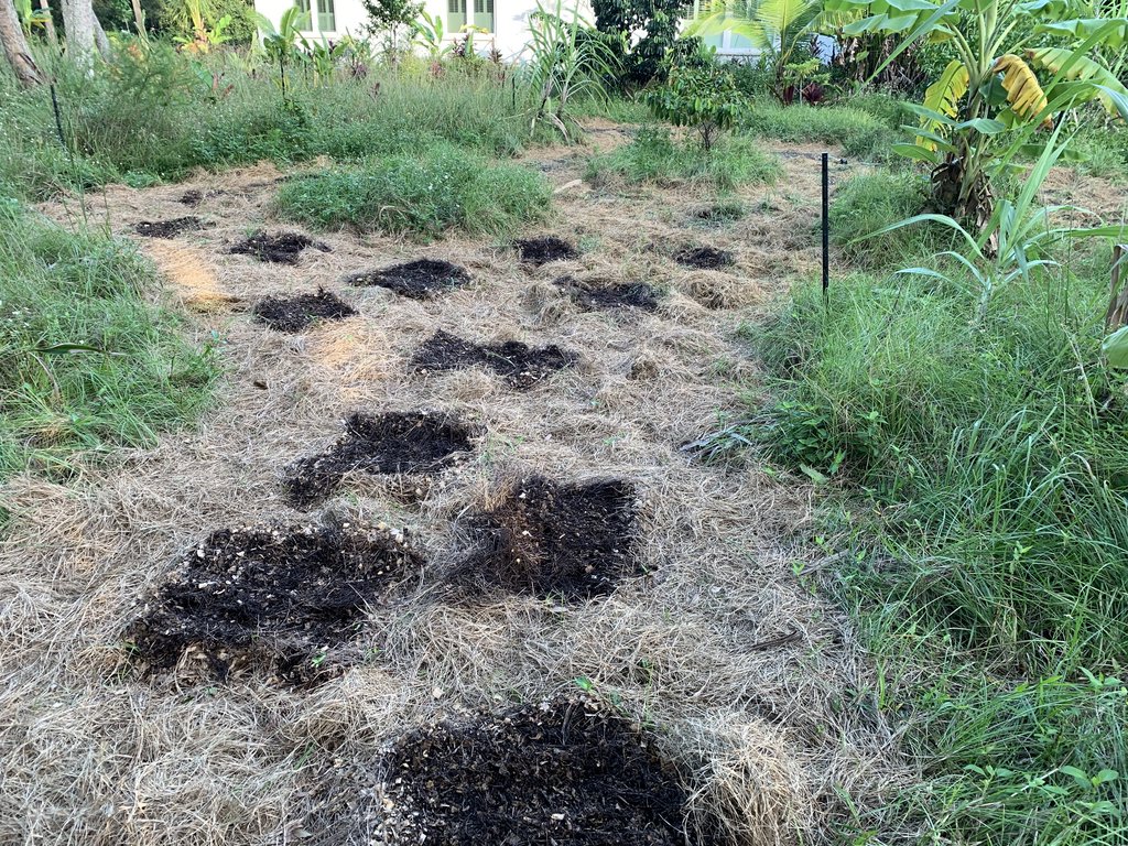 C2D07CDD-E514-4AB4-80A4-665C717FD70A