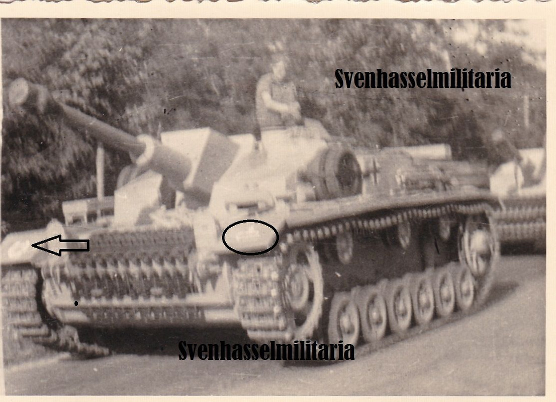 Elite Panzer Div Lah Stug Sturmgeschütz Abt. - S