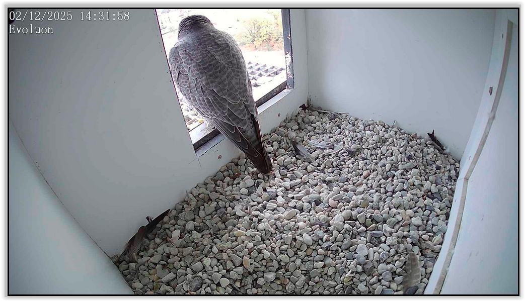 Screen Shot 12 02 25 at 02 32 PM