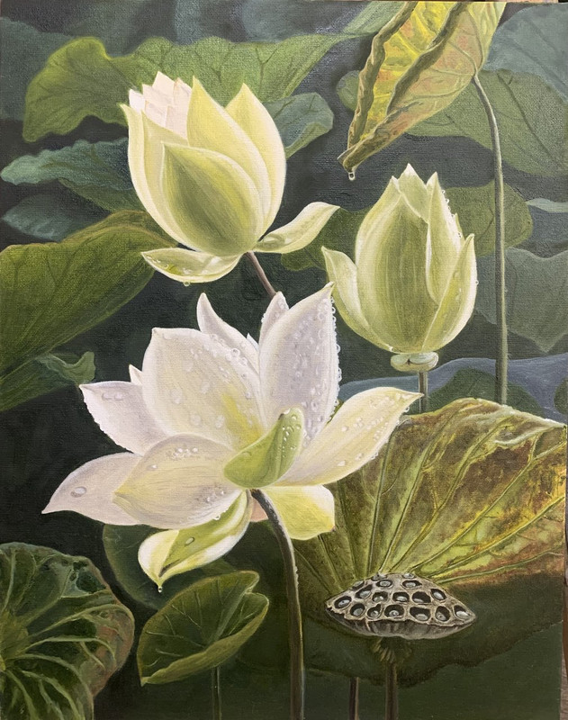 66DFCB61-4D58-4EFE-9A37-3D0C4BFC07FE