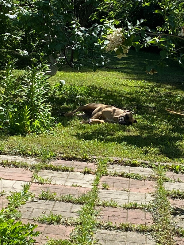 F511C9BE-25F5-4FB7-B649-1C8A3667AB41