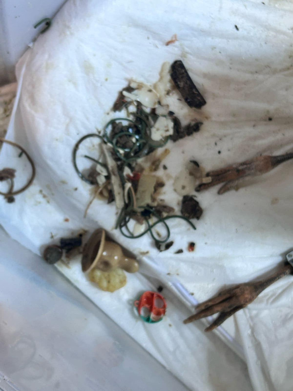 Bierkowo -4005-8223-6e54c13ea177