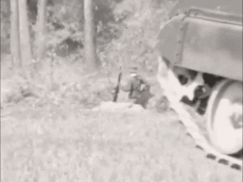 https://i.postimg.cc/Hnp085LB/video-2026-07-23-02-03-43-(1).gif