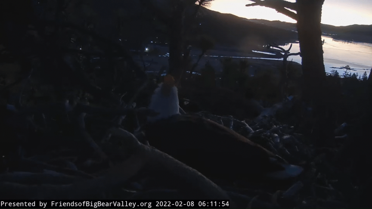 Webp.net-gifmaker (1)