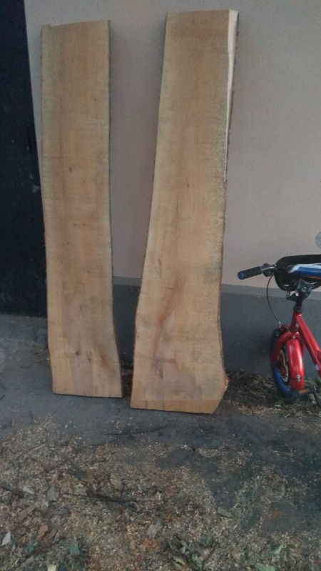 12 Клён доска 1