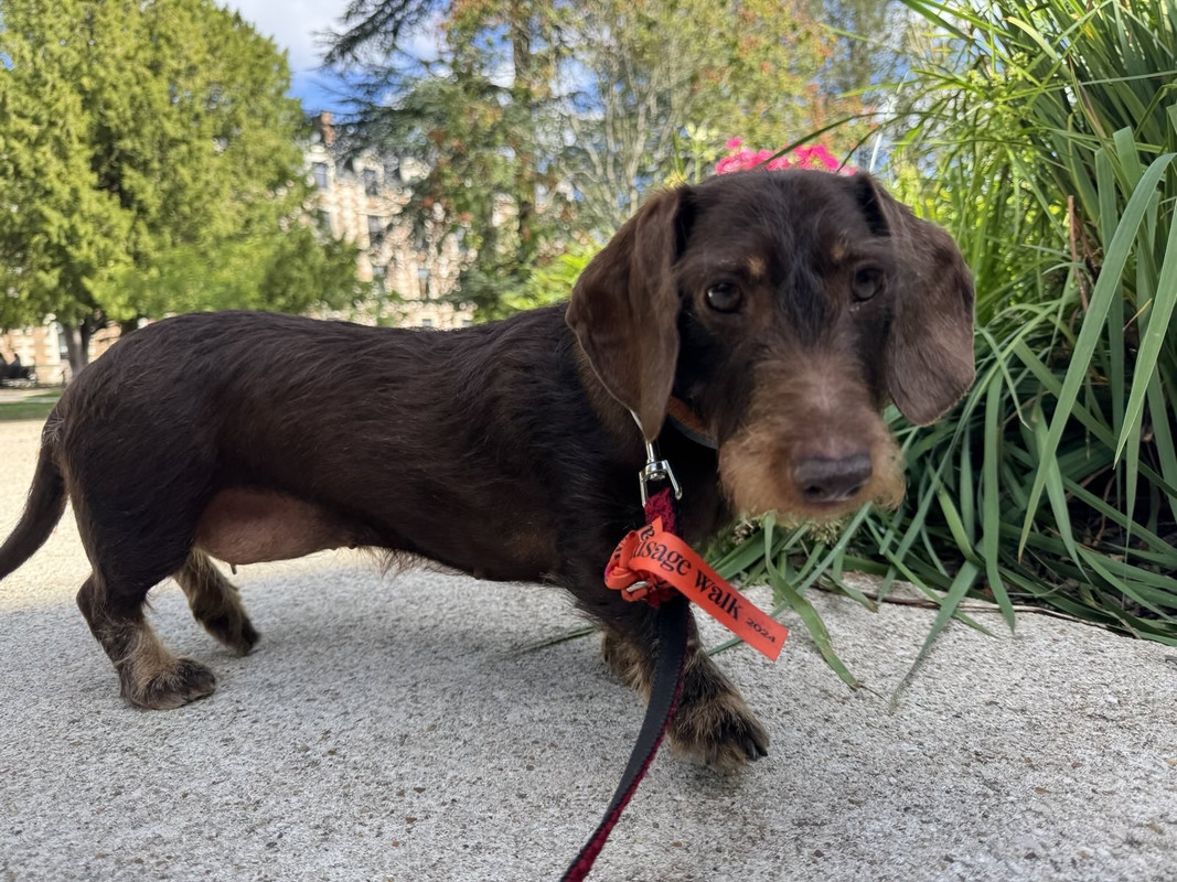 [Image: IMG-3264.jpg]