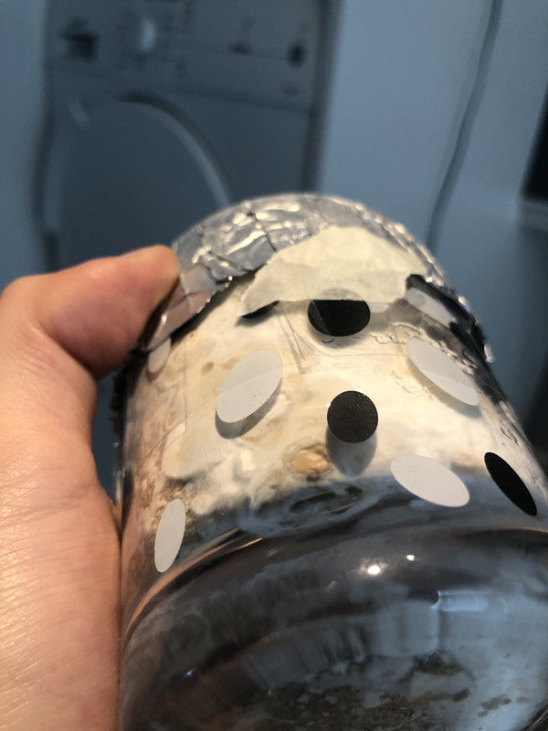 B73EE121-015A-45C5-A38B-9049A40D5485