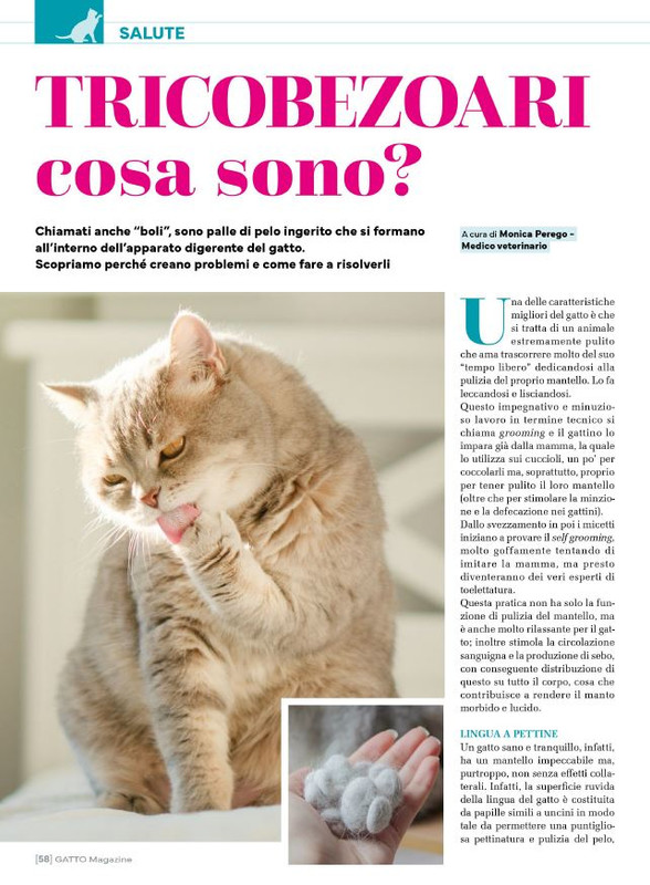 Ga Ma Feb-Mar 2025 (9)