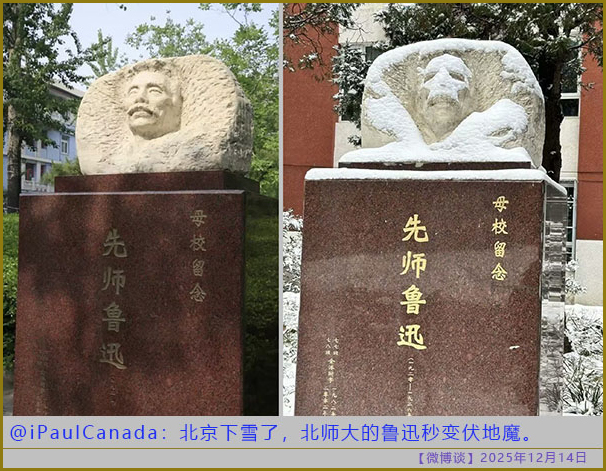 https://i.postimg.cc/HnpQFd46/20251214-bt-(10).jpg