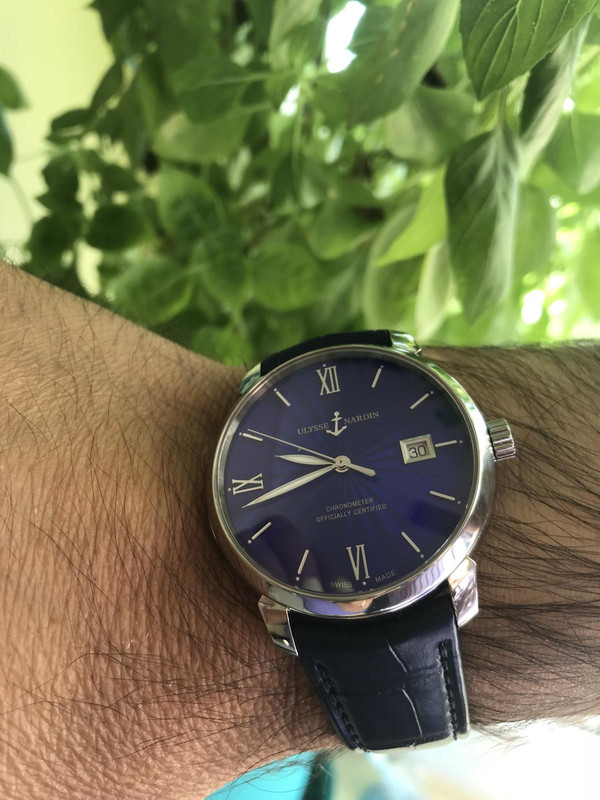 3946B396-67CE-47C2-A293-754B94E65025