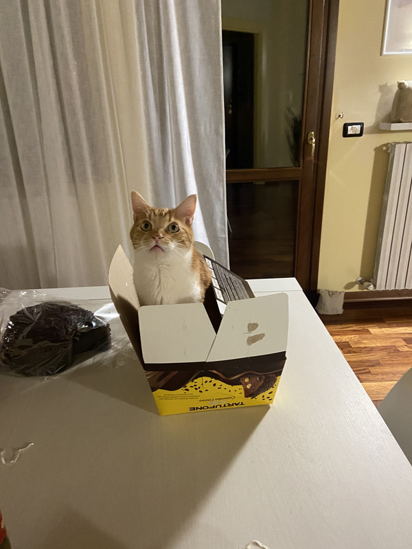 0F179E37-80B0-43E8-9458-91E48F934371