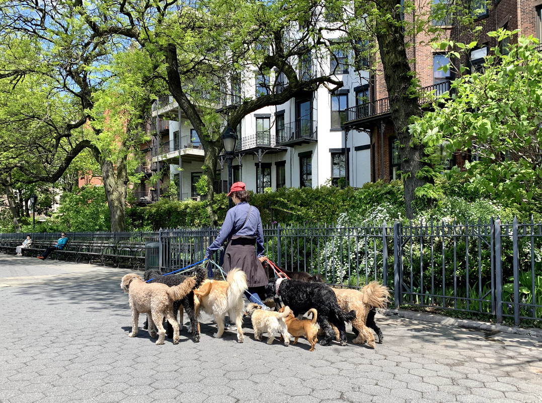 08A26318-5B24-45EA-B6A2-B53EB74467A2