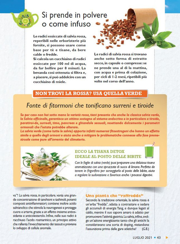 Sal Nat Lug 2021 (8)