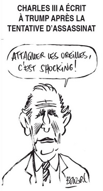 text alternatif