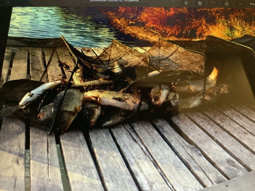 A71B7BD7-C08B-4599-9740-7DDF02B98D15