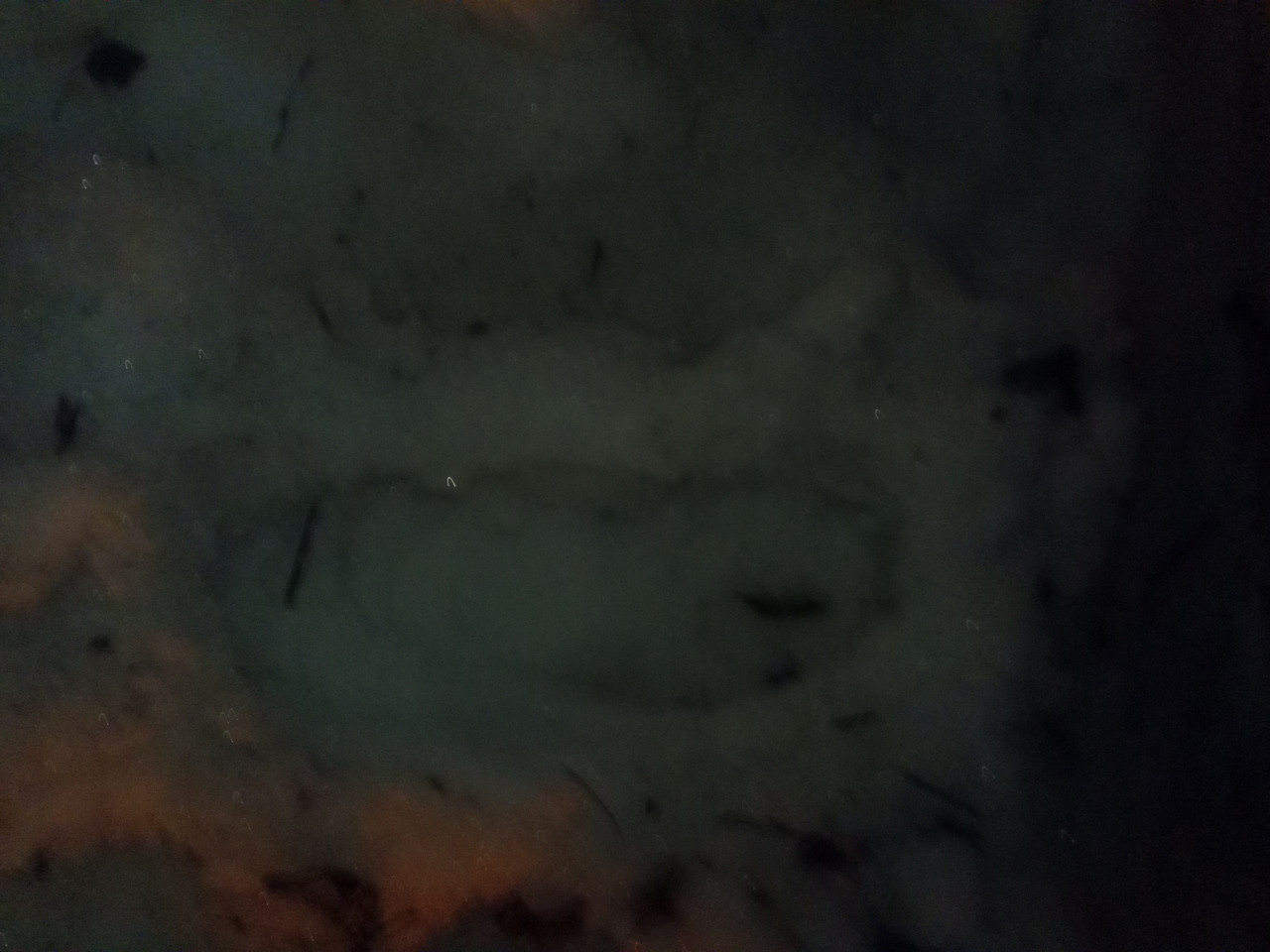 IMG 20260322 204652 743