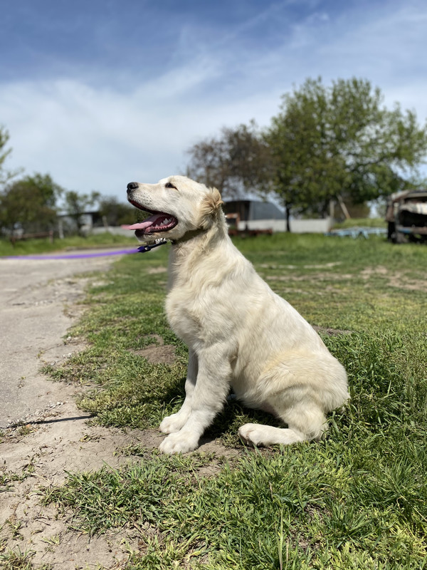 524502F8-29D2-4881-99CC-5A01EE8D0D6E